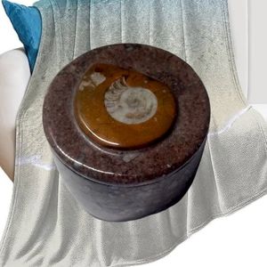 Ammonite Fossil" on the Trinket Box's Lid.